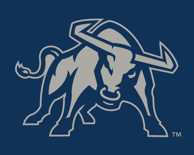 Utah State Aggies 2012-Pres Alternate Logo v3 iron on transfers for fabric